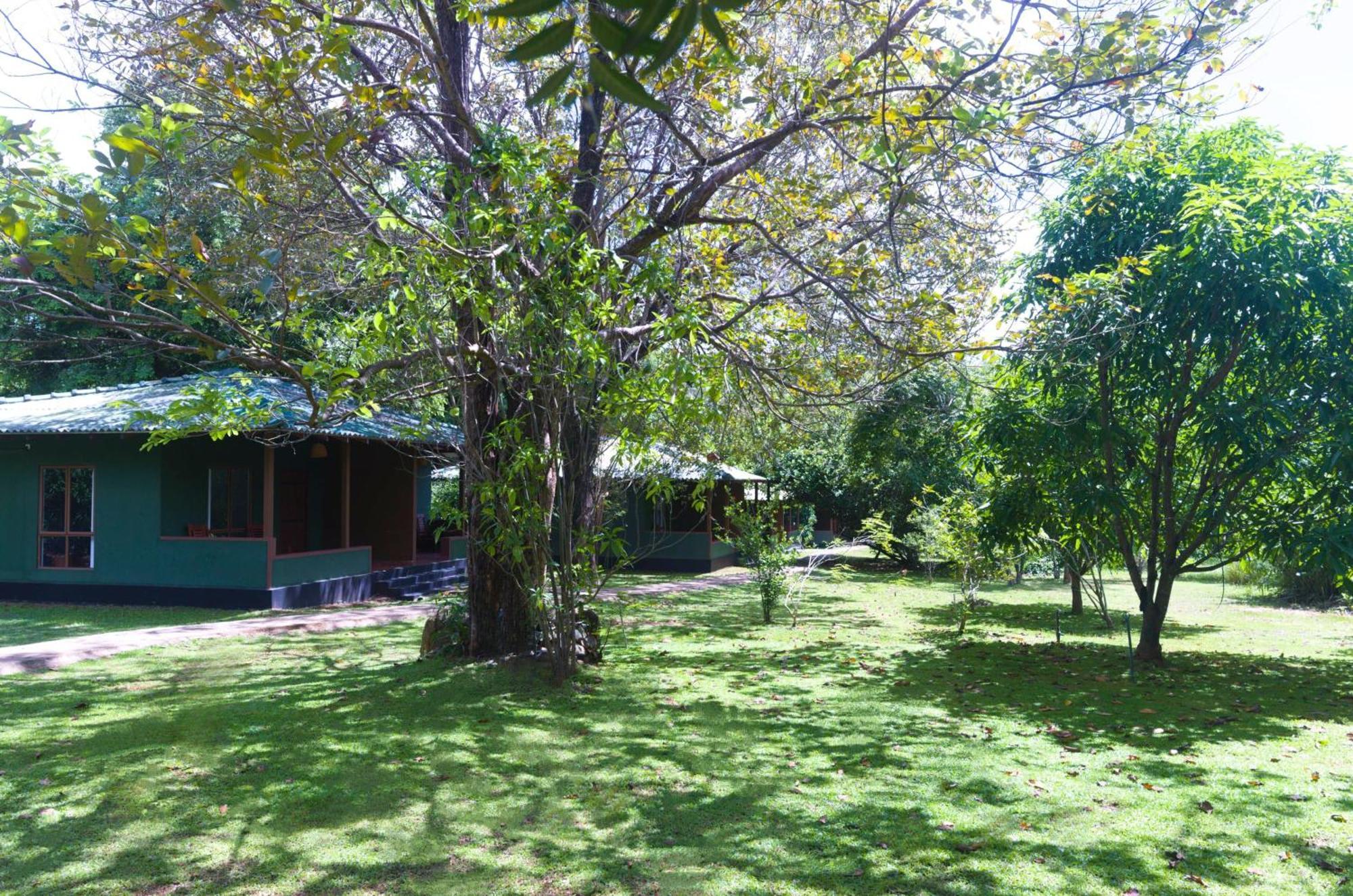 סיגירייה Pinthaliya Resort מראה חיצוני תמונה